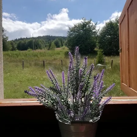 Golija Vikend Kuca Milenkovic Apartament