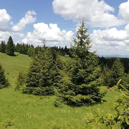 Golija Vikend Kuca Milenkovic Raška