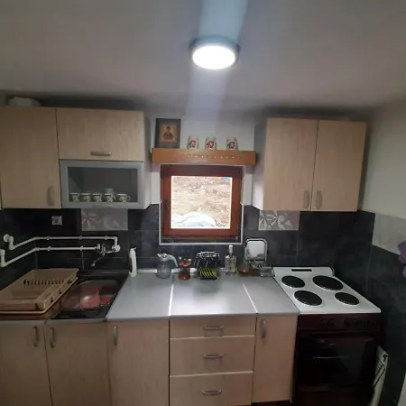 Apartament Golija Vikend Kuca Milenkovic *