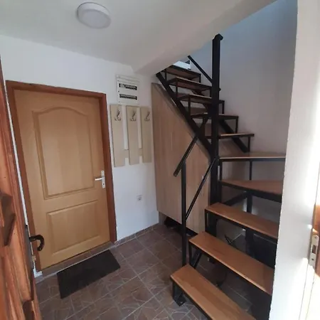 Apartament Golija Vikend Kuca Milenkovic *