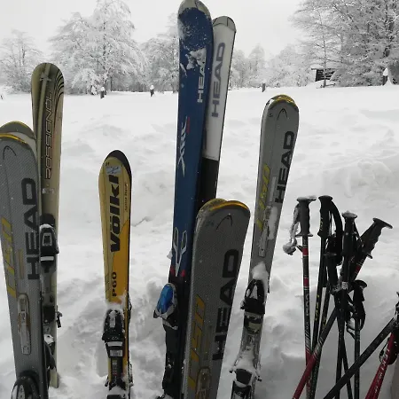 Golija Vikend Kuca Milenkovic Apartament Raška