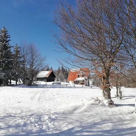 Golija Vikend Kuca Milenkovic Apartament *