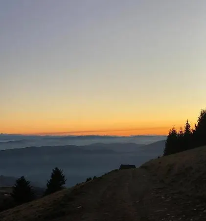 Golija Vikend Kuca Milenkovic Apartament