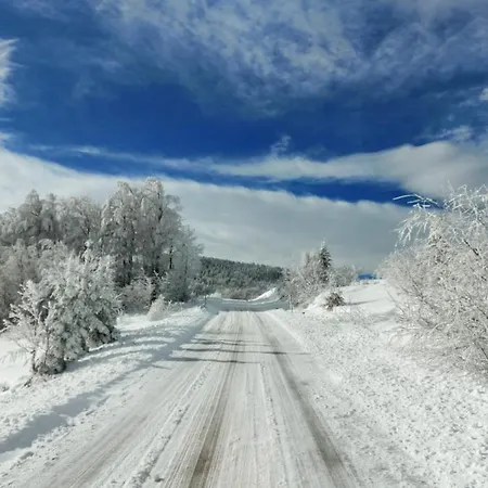 Apartament Golija Vikend Kuca Milenkovic Raška