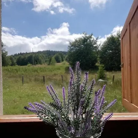 Golija Vikend Kuca Milenkovic Raška