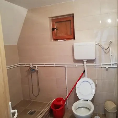 Golija Vikend Kuca Milenkovic Apartament