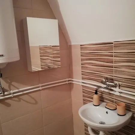 Apartament Golija Vikend Kuca Milenkovic *