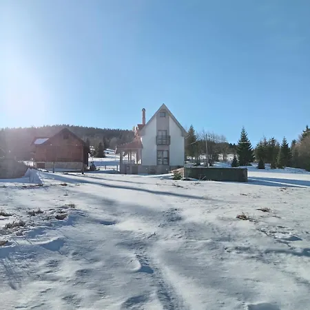 Apartament Golija Vikend Kuca Milenkovic