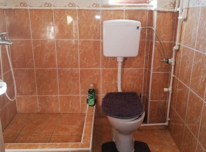 Golija Vikend Kuca Milenkovic Apartament *