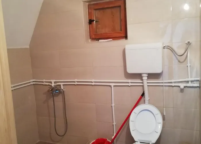 Golija Vikend Kuca Milenkovic Apartament